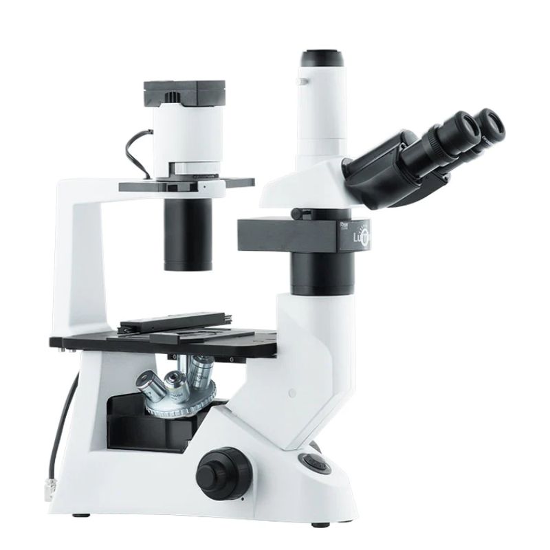 Microscopio Invertido Infinito Contraste De Fases Arbiotech