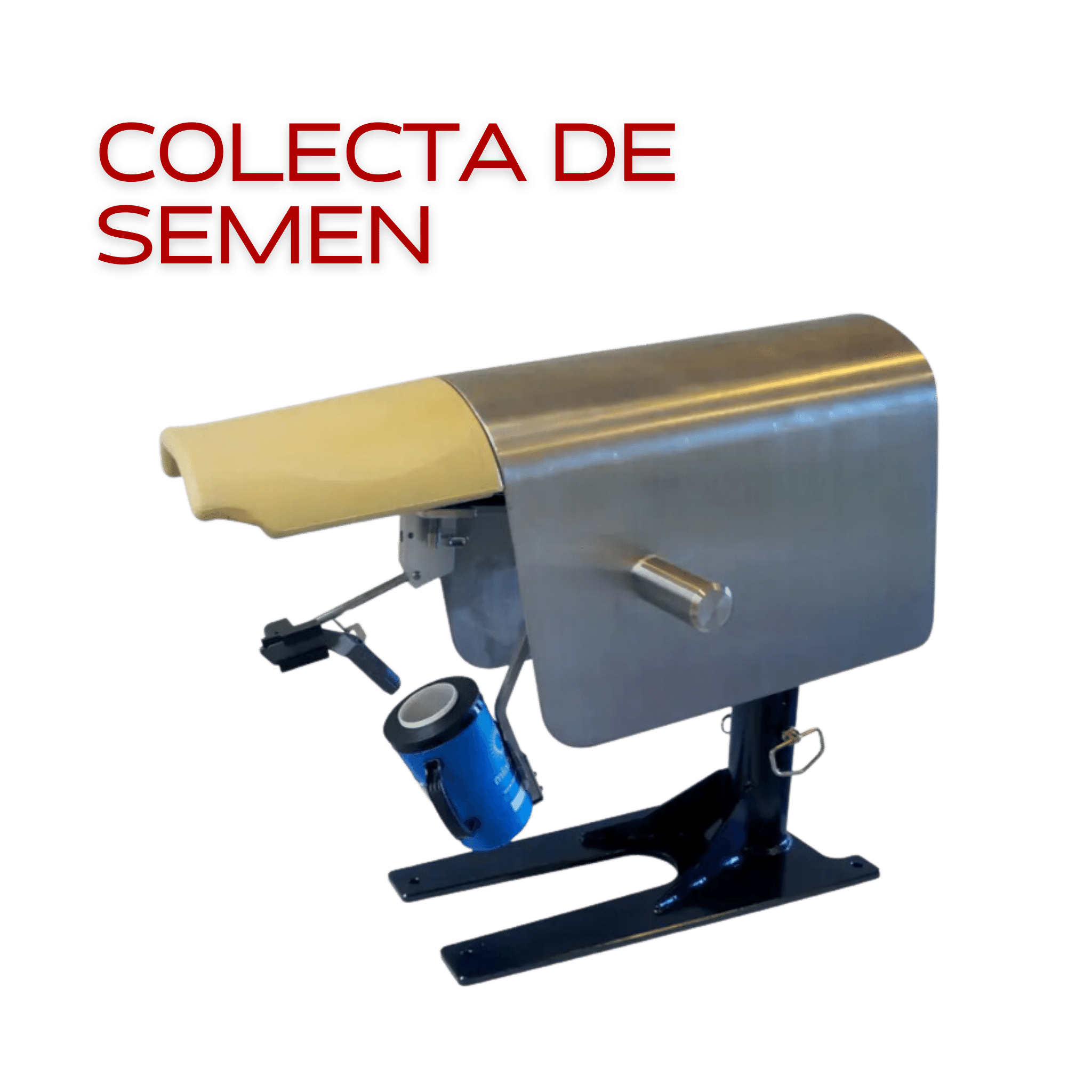 Colecta de semen porcino ARBiotech