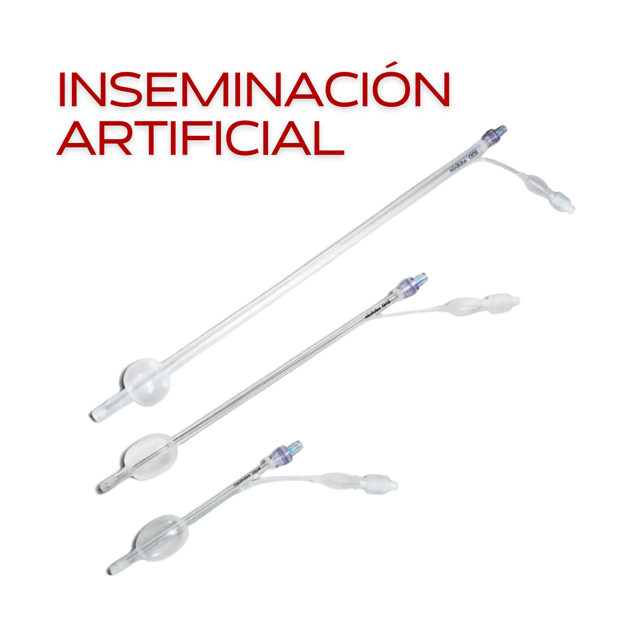 Inseminación artificial caninos ARBiotech