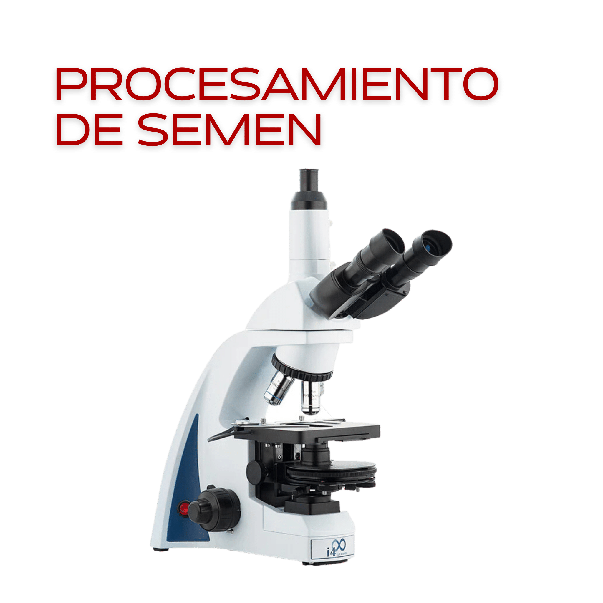 Procesamiento de semen Bovino