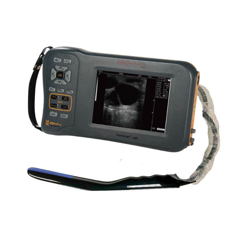 Ultrasonido L50 con trasductor linal rectal para ovinos ARBiotech